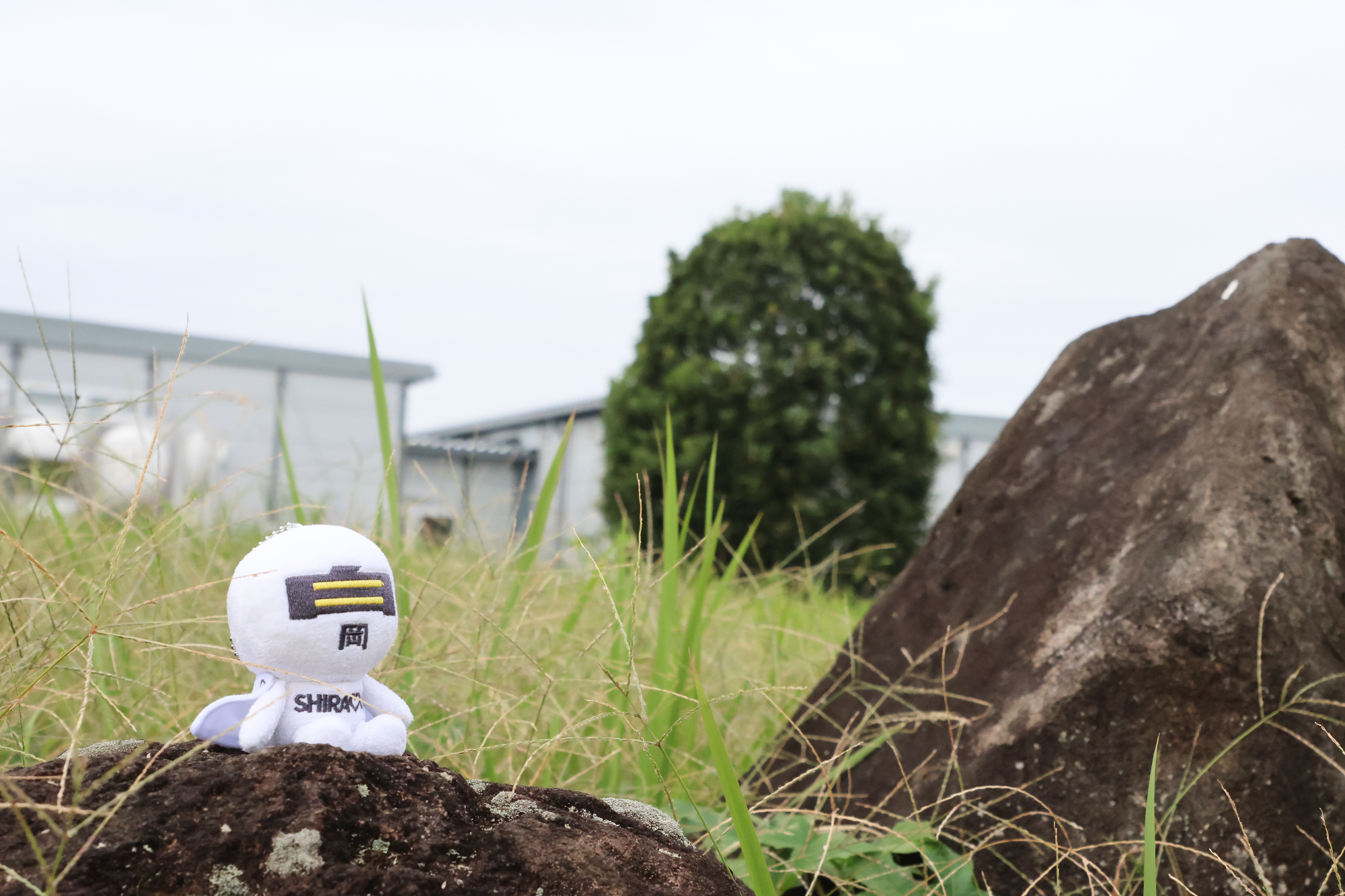 味彩センター裏の苔むした岩に座るシラオ仮面です