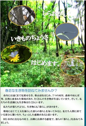 白岡市生き物調査のポスター1
