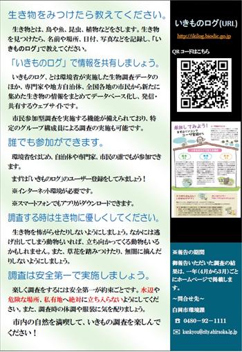 白岡市生き物調査のポスター2