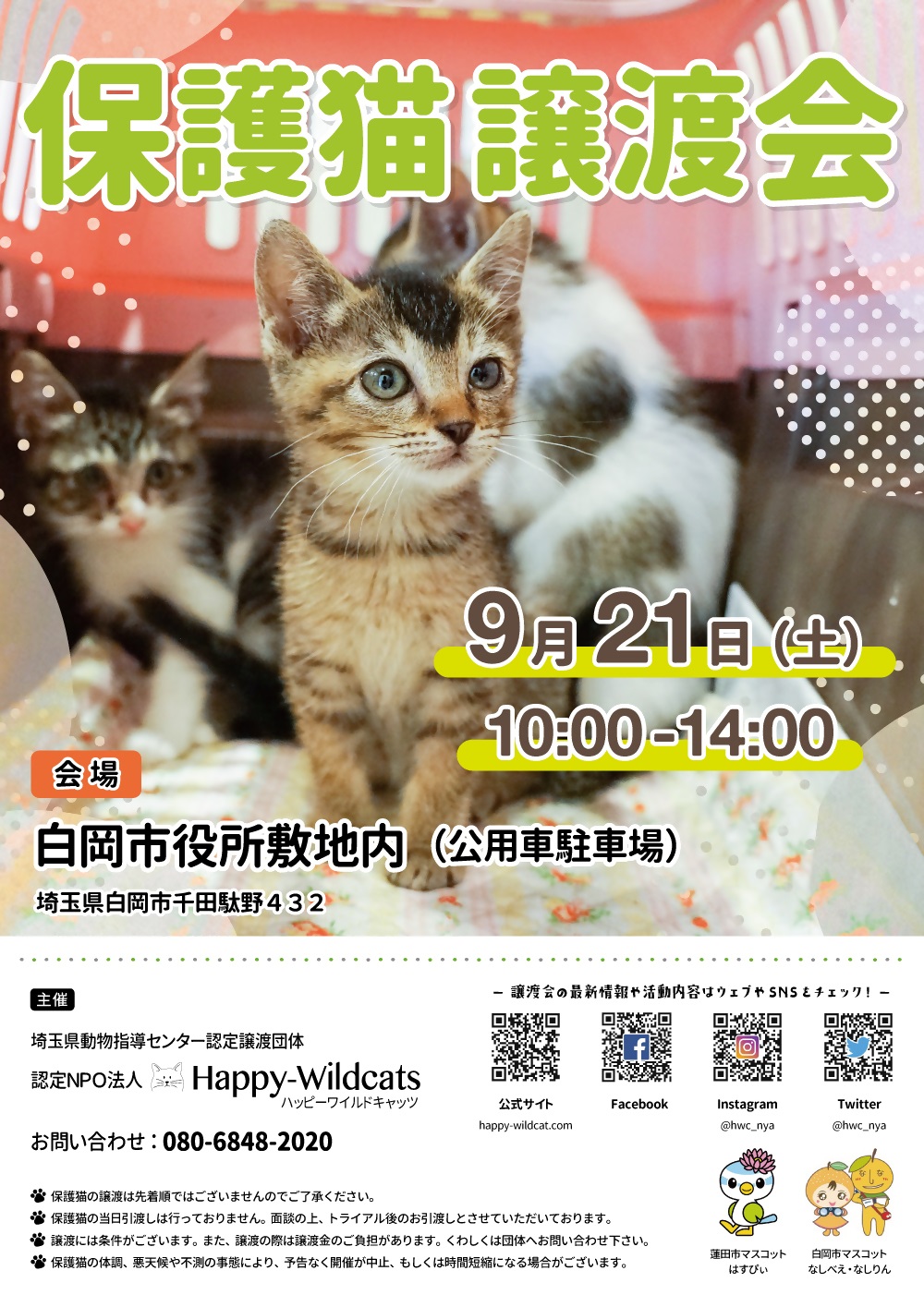 R6保護猫譲渡会チラシ