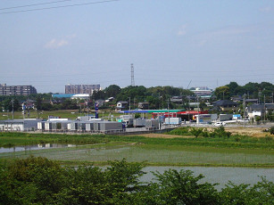 手前に田んぼが広がり中央に工場のような建物、木々があるその奥には建物が広がる緑豊かな白岡市の風景写真