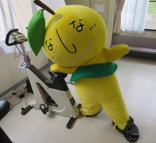 なしべえがトレーニングマシンに寄りかかっている写真
