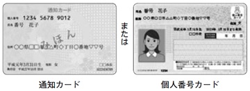 マイナンバー通知カードと個人番号カードの図