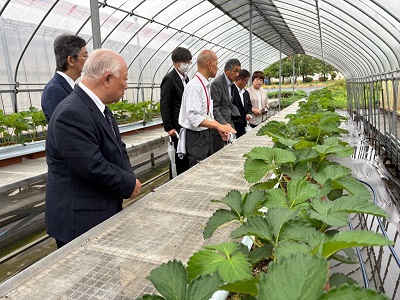 産業建設常任委員会所管事務調査の様子