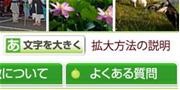 文字サイズが「標準」の時の画面コピー