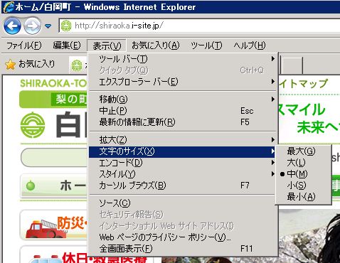 インターネットエクスプローラーのメニューバーで「文字のサイズ」が選択され、「最大」「大」「中」「小」「最小」の選択肢が表示されている画面コピー