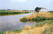 青い空の下、草原をゆっくりと流れている元荒川