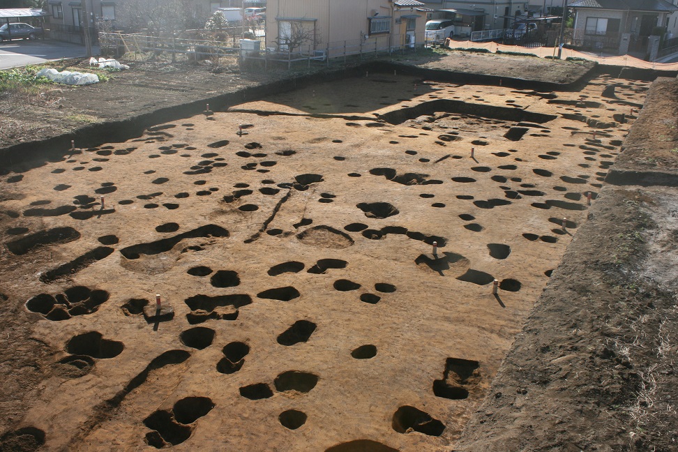 大きな穴が沢山開いている調査区全景の写真