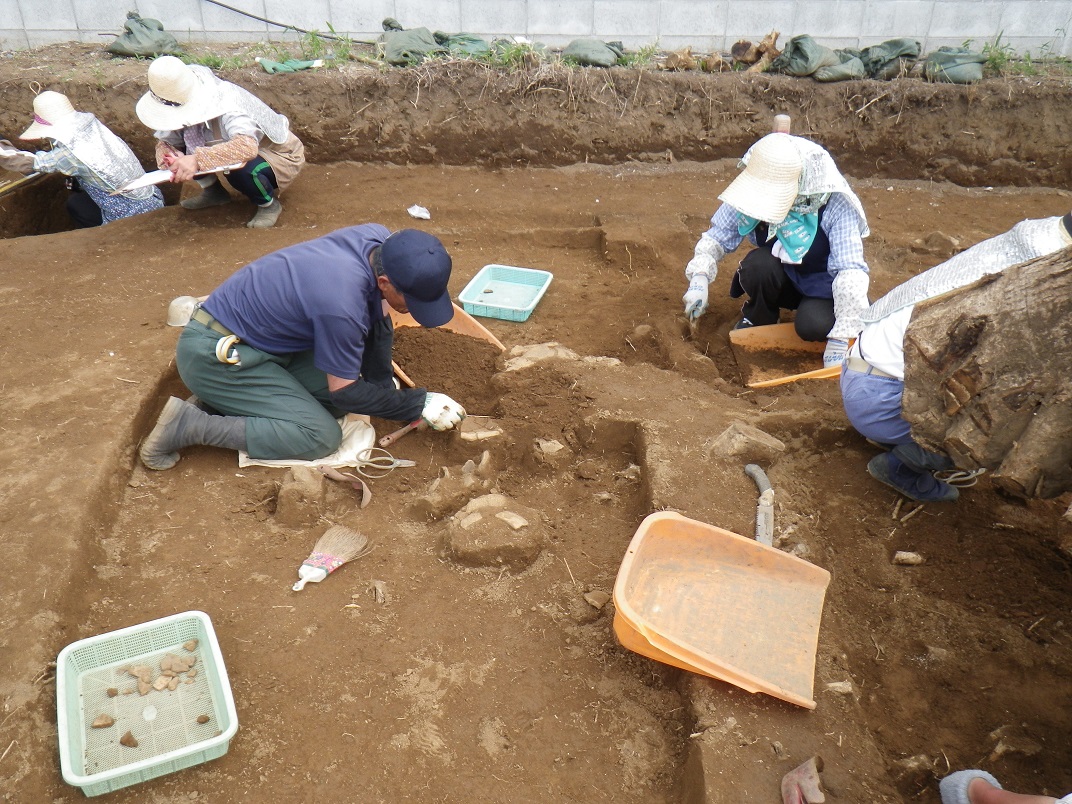 木の根付近や外側の大きな溝に入って発掘作業を行っている作業員の写真