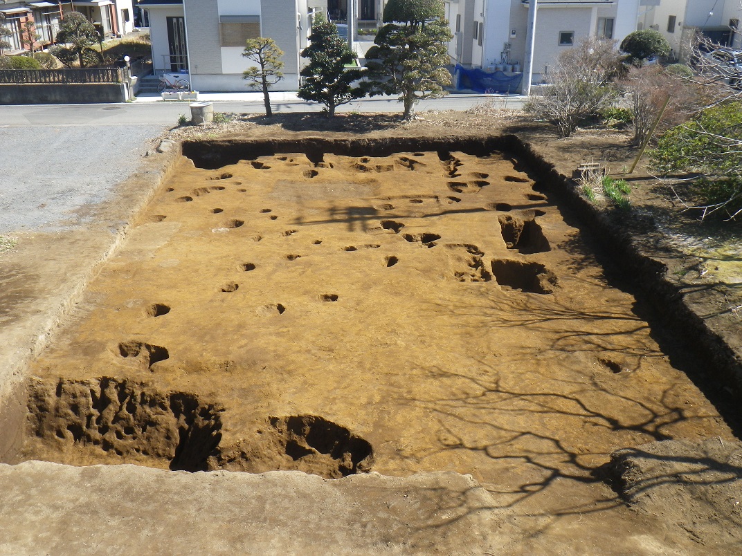 長方形の形に掘り下げられ、大小の穴があちらこちらに象られている遺跡の写真