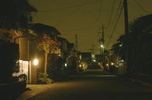 家庭の門灯や玄関灯が点灯している写真