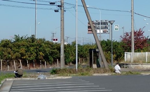 こもれび