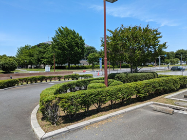 庁舎6