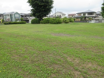 奥に民家が見え、中央に大きな木1本とその周りに低い木々が植えられた公園を写した写真