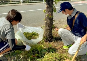 道路脇の樹木の下で草取りをしている男性と草をごみ袋に入れている女性の写真