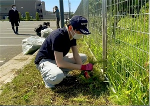 フェンス横の雑草を手袋をしながら草取りをしている男性の写真