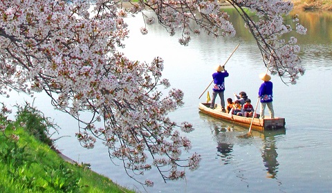 観桜会の様子