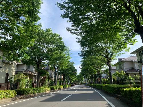 新白岡ニュータウンの街並みです。