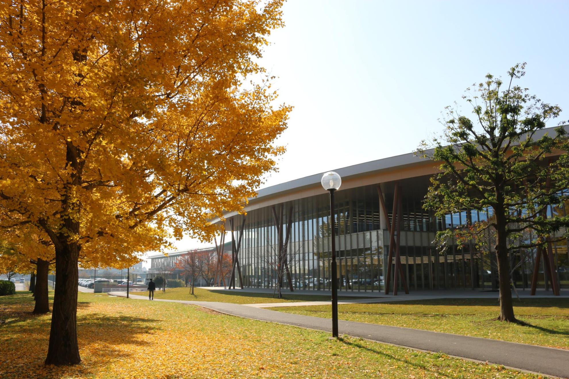 白岡市立図書館〔こもれびの森〕の外観です。乾燥した涼しい日の澄み切った空と、葉が黄色く染まった美しい並木とともに佇んでいます。