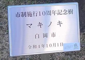 白岡市制施行10周年記念樹 マキノキ 白岡市 令和4年10月1日と書かれたプレートの写真