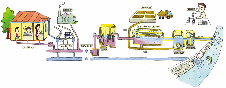 生活排水が下水道設備を通って排出される工程を描いたイラスト