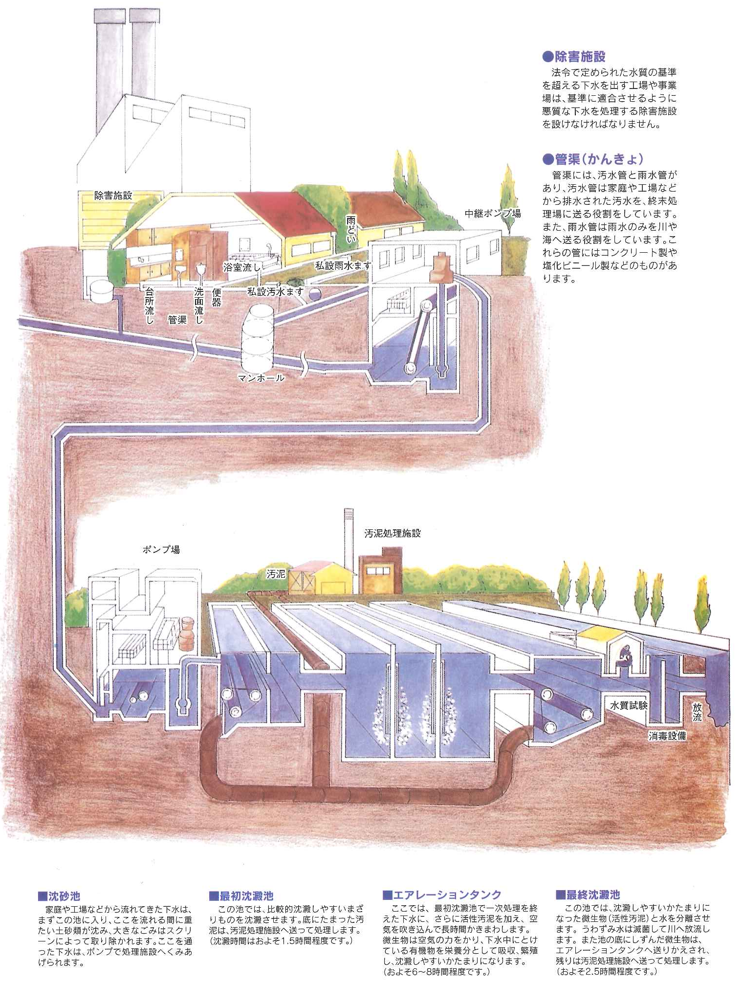 向上や家庭から出た排水が浄化されるまでに通る工程と設備の説明が書かれたイラスト