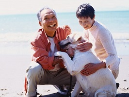 犬と戯れる笑顔の中年の男性と女性の写真