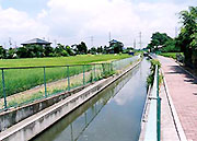 田んぼを背景に、目の前に舗装された、姫宮落川が写っている写真