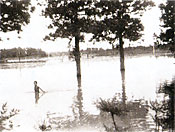 水没した街路樹や水に浸かっている1人の人など、台風の被害を写した白黒の写真
