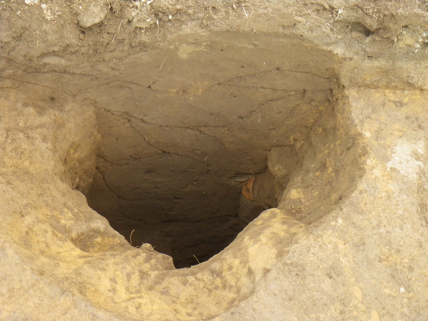 地面奥深くに穴が開いている貯蔵穴を上から写した写真