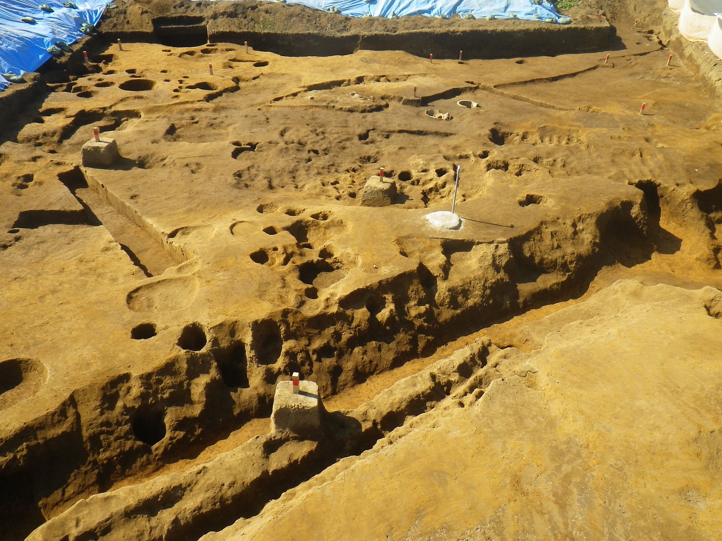 調査区の表面に穴などが複数開いており、手前の方には左右に伸びる溝が見える調査区北部の溝跡の写真