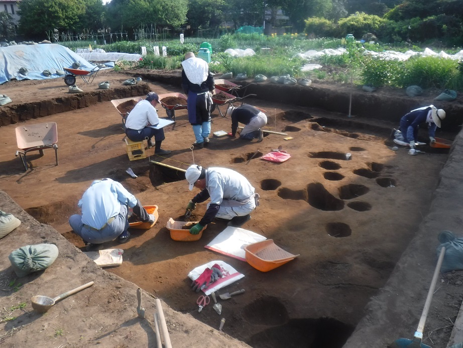 6名の作業員が発掘作業を行っている様子の写真