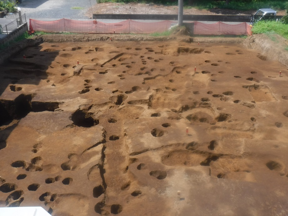 地表面に複数個所のくぼみや穴が開いている調査区域の写真