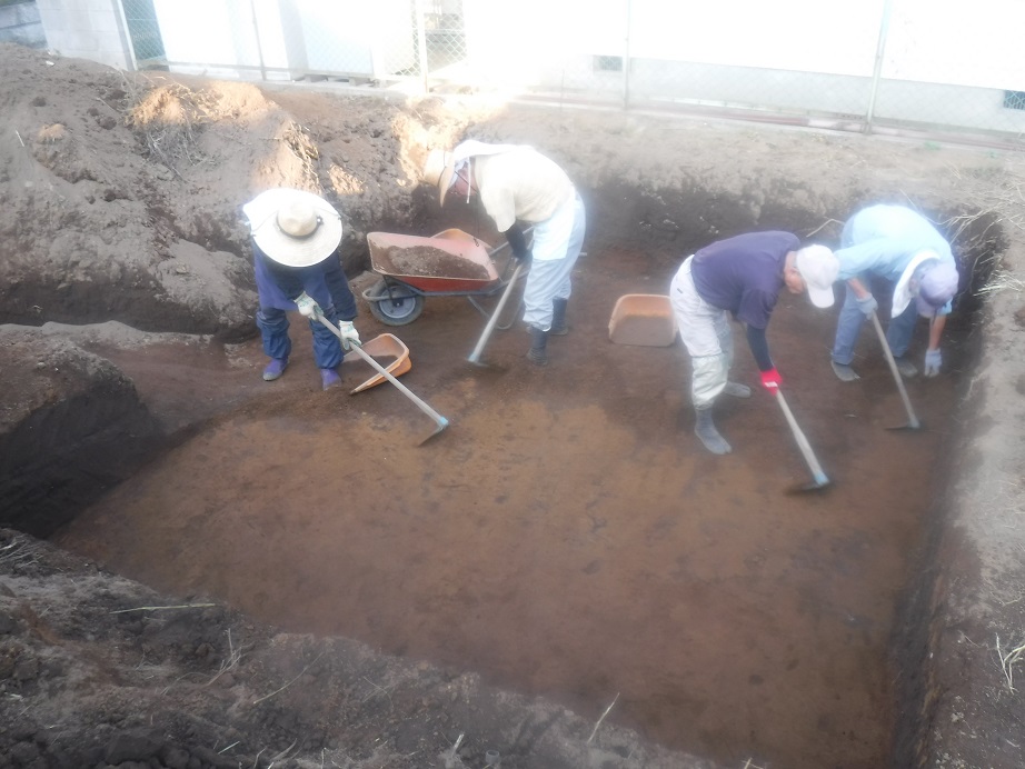 4名の作業員が鍬を用いて発掘作業を行っている様子の写真