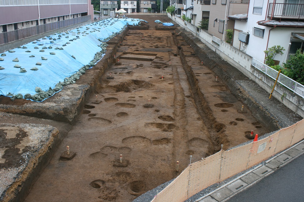 住宅地の中で発掘を行いブルーシートをかけて保護されている調査区の全景の写真