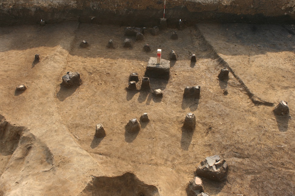 土の上にいくつもの土器が発掘されて置かれている写真