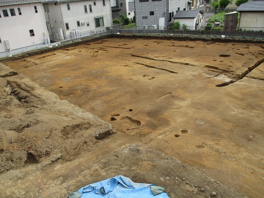 地表面の数か所に空いた穴と溝がある調査区域の写真