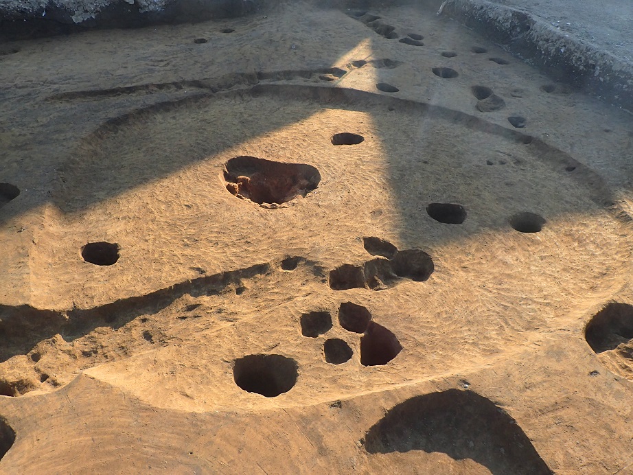 大小様々な大きさの穴が不規則に空いている調査区域の写真
