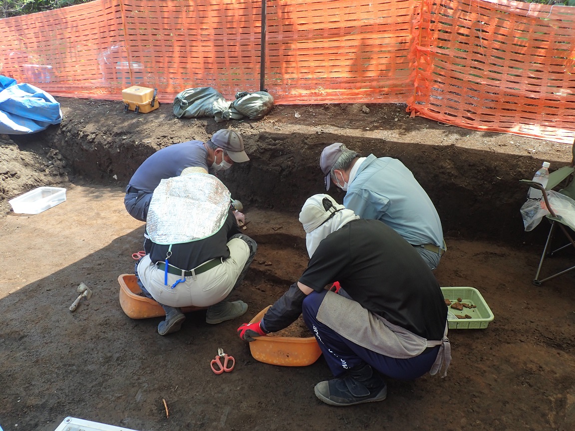調査区域内に座り込んで土を掘っている作業員と出土品が入った容器の写真