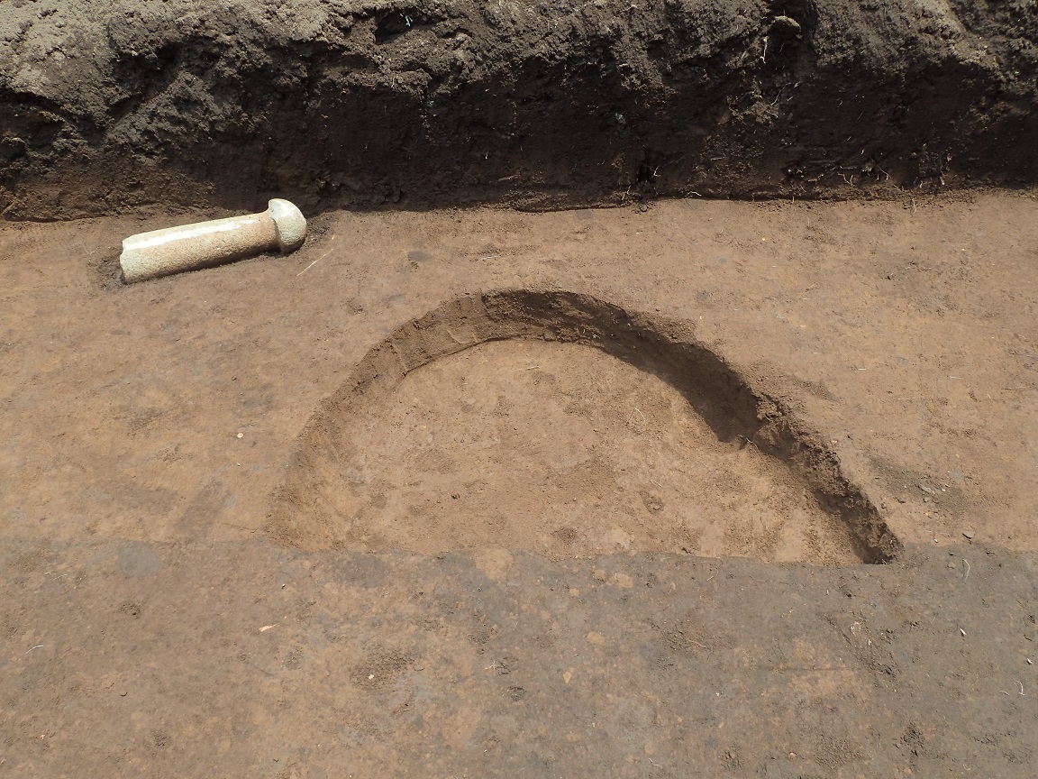半円形に窪んだ炉跡とその傍から出土した石棒の写真
