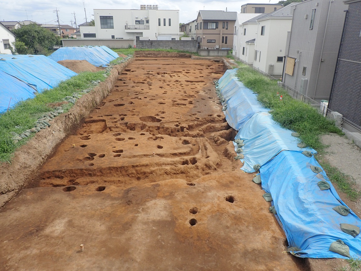 周りに住宅街があり、調査区の地面に所々穴や溝があるのが見られる調査区全景を写した写真