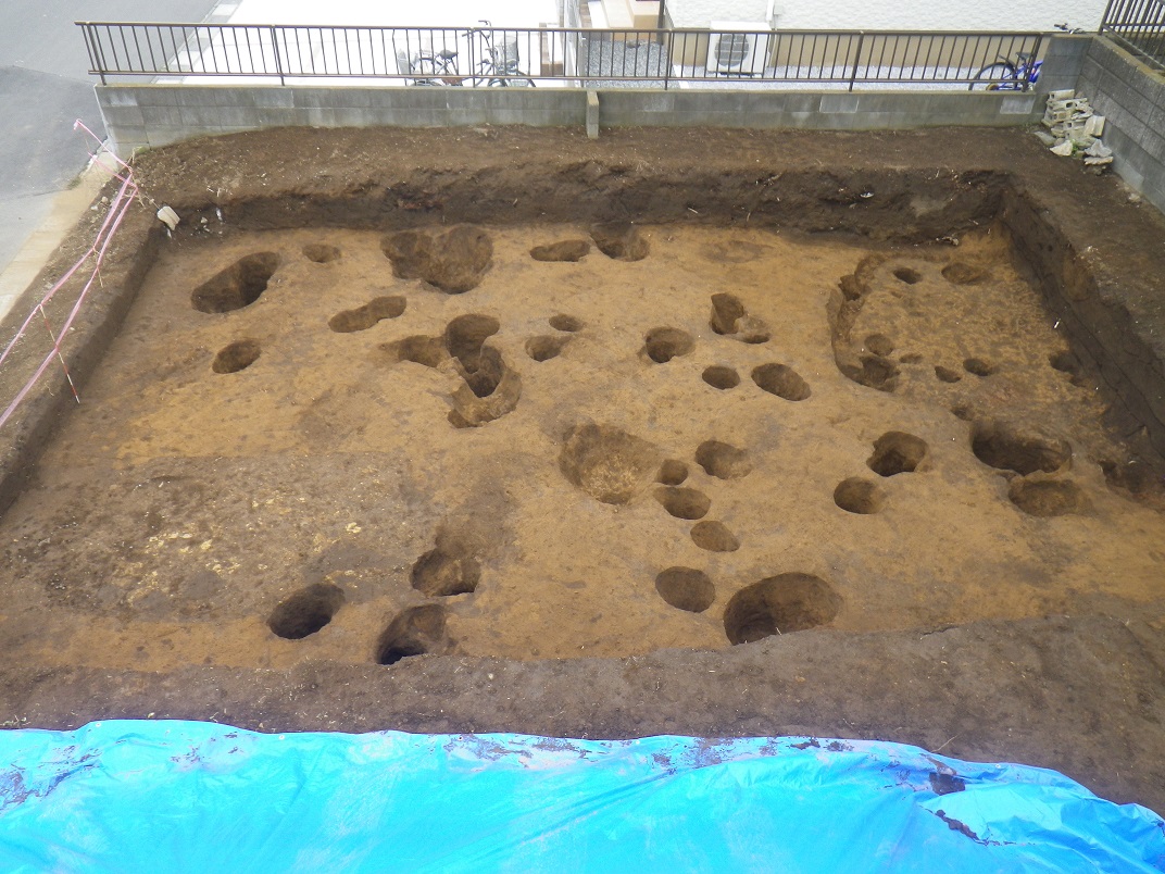 地表面に大小の複数の穴が開いている中妻遺跡の調査区域の写真