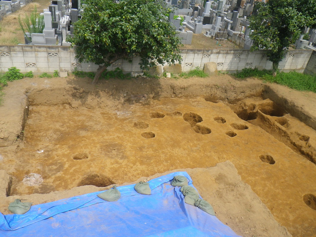所々穴が開き、墓地と背の低い木が傍にある調査区の西半部の写真