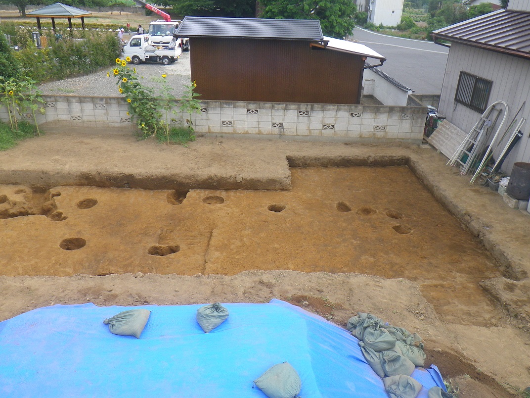 所々穴が開き、住宅と小屋が傍にある調査区の東半部の写真