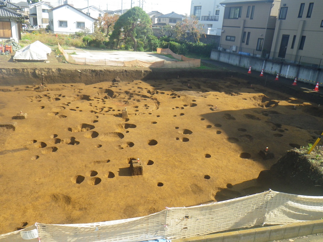 所々穴の開いた発掘調査区の地面を全体が写るように上から撮影した写真