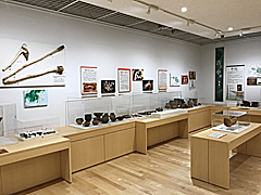 土器などが展示され解説資料が壁にかけられている歴史資料展示室の一角の写真