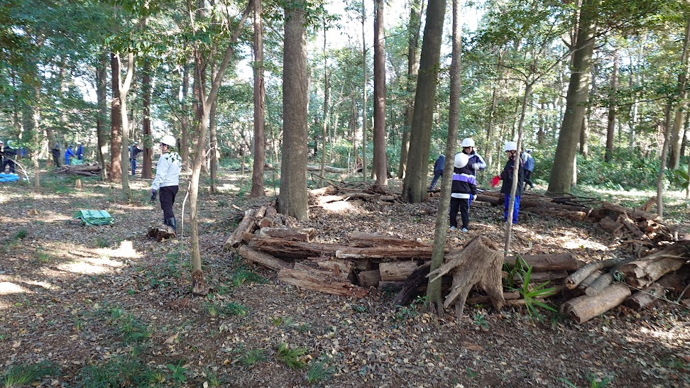 落ち葉や枯れ枝で作ったビートルベッドの写真