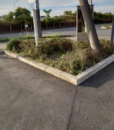 除草後