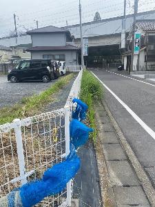 除草前