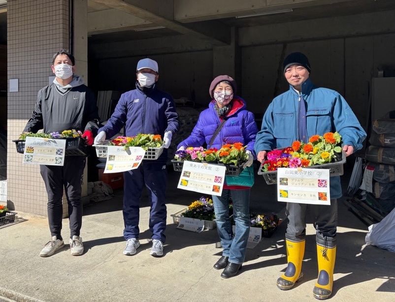小中学校等への花の苗の配布